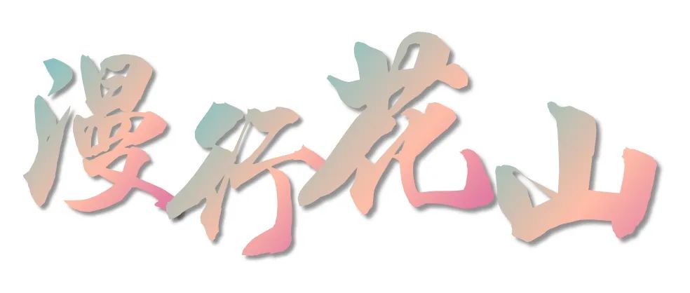 花山属于云南哪里,花山在什么地方